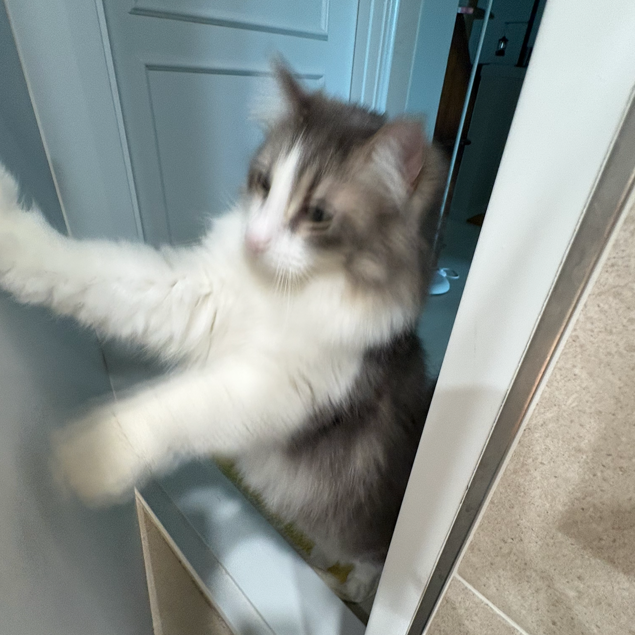 Gurrk pushing a door open